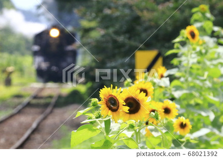 Summer Moka Railway SL Summer Moka Railway SL 68021392
