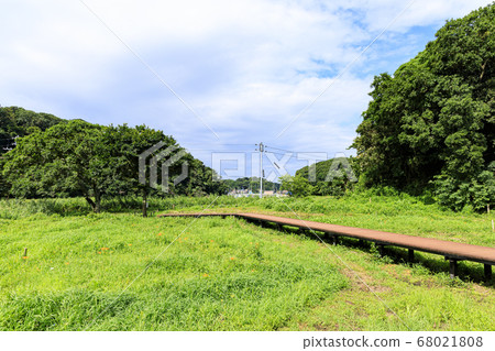 Meadow after the rainy season Koamishiro no Mori Meadow after the rainy season Koamishiro no Mori 68021808