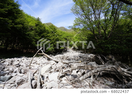 群馬縣赤山市由19號颱風造成的爪痕,該山道位於從山頂開始的山路上,靠近山口。 群馬縣赤山市由19號颱風造成的爪痕,該山道位於從山頂開始的山路上,靠近山口。 68022437