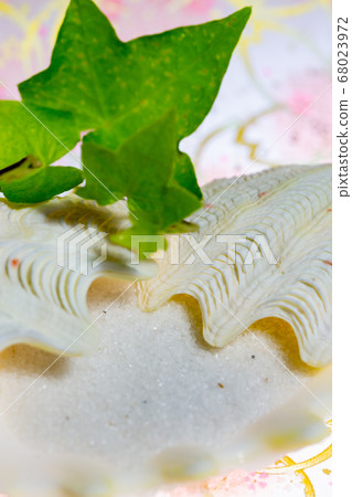 淡粉色背景背景/圖像表格照片上的貝殼組合 淡粉色背景背景/圖像表格照片上的貝殼組合 68023972