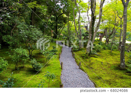 夏日花園 68024086