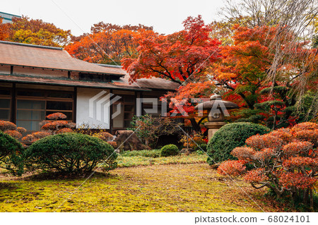 Japanese traditional house with autumn maple trees at Koishikawa Korakuen Garden in Tokyo, Japan 68024101