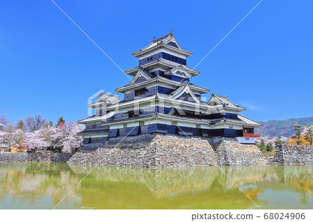 [Nagano Prefecture] Matsumoto Castle in full bloom 68024906