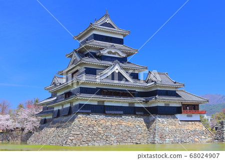 [Nagano Prefecture] Matsumoto Castle in full bloom 68024907