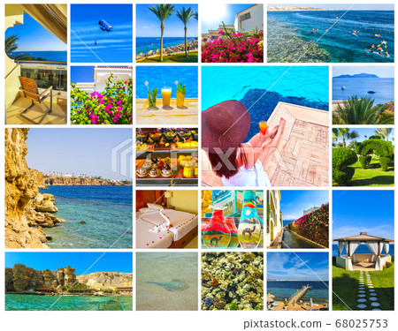 Collage of pictures from Egypt holidays. Sharm El Collage of pictures from Egypt holidays. Sharm El 68025753
