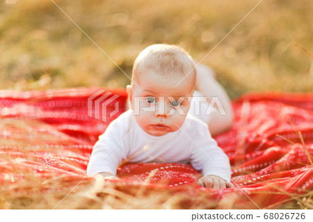 Family with children walking outdoors in summer field at sunset. Little baby boy lying on red plaid having fun in summer field. People, family day and lifestyle concept 68026726