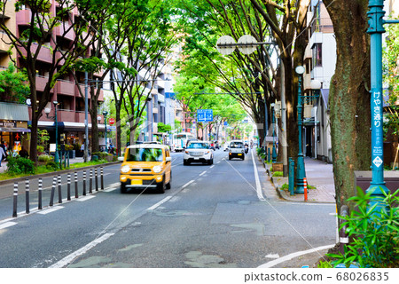 Near Akasaka 2-chome, Chuo-ku, Fukuoka City, along the Kokutai Road, in the direction of Tenjin, Keyaki-dori Near Akasaka 2-chome, Chuo-ku, Fukuoka City, along the Kokutai Road, in the direction of Tenjin, Keyaki-dori 68026835