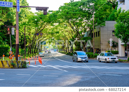 Near Akasaka 3-chome, Chuo-ku, Fukuoka City, along the national highway Near Akasaka 3-chome, Chuo-ku, Fukuoka City, along the national highway 68027214