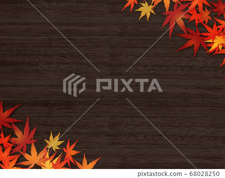 Autumn leaves Autumn leaves 68028250