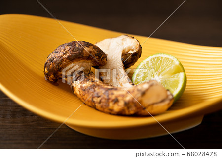  Yakimatsutake 68028478