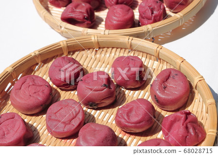 Umeboshi衛生 Umeboshi衛生 68028715