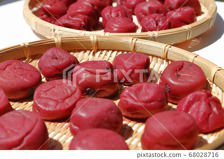 Umeboshi衛生 Umeboshi衛生 68028716