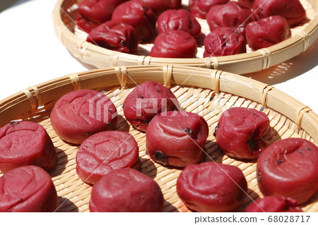 Umeboshi衛生 Umeboshi衛生 68028717