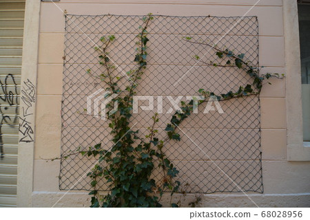 Croatia split Croatia split 68028956