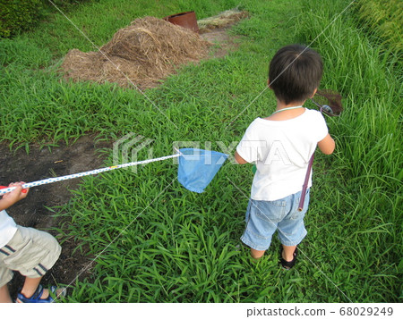 insect catching 68029249
