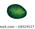 Avocado 2 68029527
