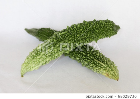 Bitter gourd 68029736