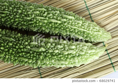 Bitter gourd 68029741