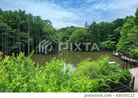 Oyamauchi Ura Park and Otagiri Pond 68030122