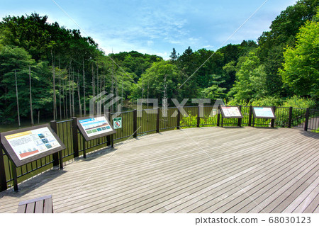 Hachioji City, Machida City, Tokyo Metropolitan Oyamadairi Park and Otagiri Pond 68030123