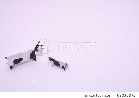 牛父母和孩子在白色背景上 牛父母和孩子在白色背景上 68030872