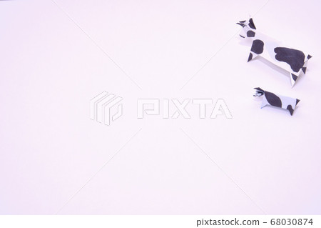 牛父母和孩子在白色背景上 牛父母和孩子在白色背景上 68030874