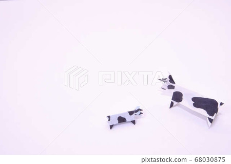 牛父母和孩子在白色背景上 牛父母和孩子在白色背景上 68030875