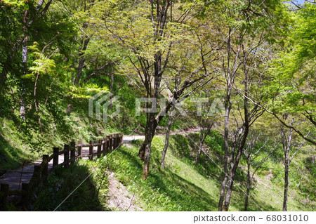 奈良縣吉野山的風景 奈良縣吉野山的風景 68031010