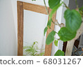 Green and mirror 2 that shines against the plaster wall 68031267