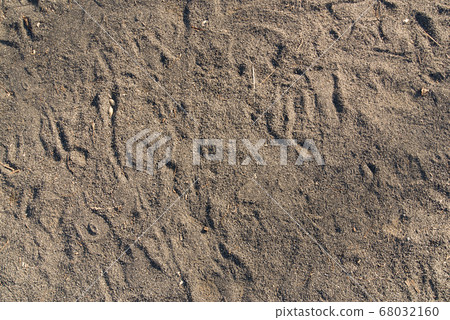 Shoe marks, sandbox 68032160