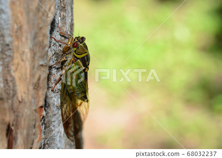 2020 08 02 Ezo seminar Sapporo city 2020 08 02 Ezo seminar Sapporo city 68032237