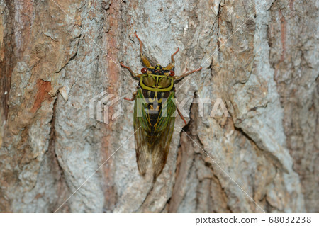 2020 08 02 Ezo seminar Sapporo city 68032238