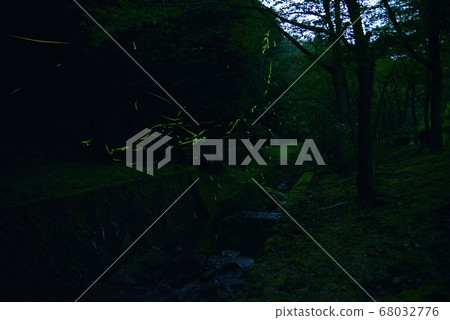 夏天的開始 68032776