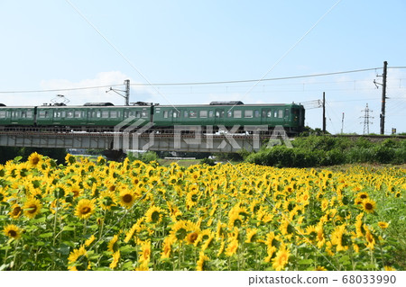 Sunflower and JR Kusatsu Line Sunflower and JR Kusatsu Line 68033990
