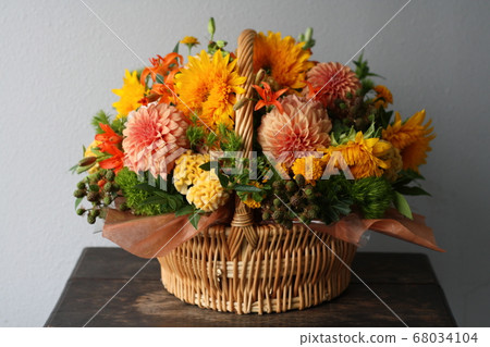 dahlia, dahlias, sunflower 68034104