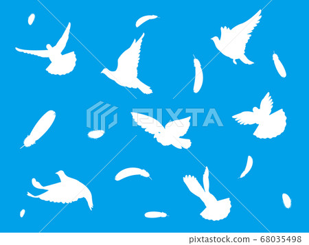 白鳥剪影素材 68035498