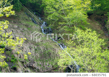 Fresh green Terubakyo Okutone Higurashi no Taki Minakami Town, Gunma Prefecture 68035791
