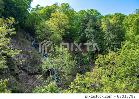 Fresh green Terubakyo Okutone Higurashi no Taki Minakami Town, Gunma Prefecture 68035792