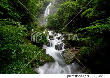 Rainwater Falls 68036505