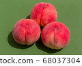 peach  68037304