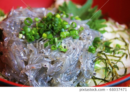 新鮮的西拉斯碗新鮮的海鮮(shirasu)在日本 新鮮的西拉斯碗新鮮的海鮮(shirasu)在日本 68037471