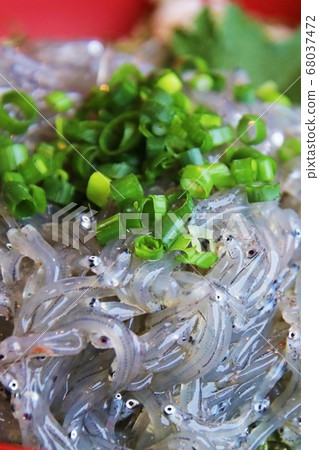 新鮮的西拉斯碗新鮮的海鮮(shirasu)在日本 新鮮的西拉斯碗新鮮的海鮮(shirasu)在日本 68037472