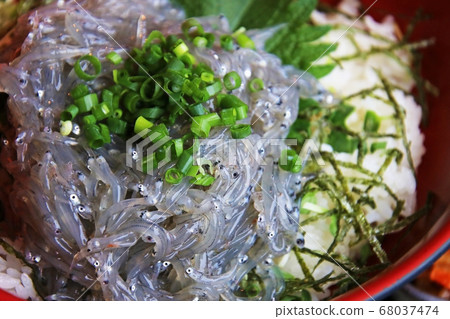 新鮮的西拉斯碗新鮮的海鮮（shirasu）在日本 68037474