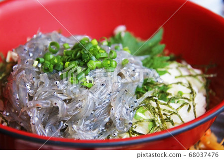 新鮮的西拉斯碗新鮮的海鮮（shirasu）在日本 68037476