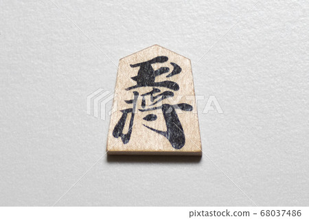 Shogi's coma 68037486