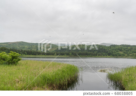 Otatomari marsh 68038805