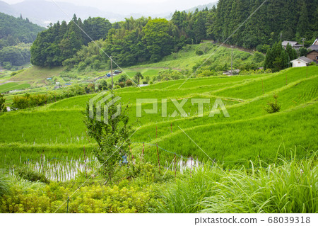 Rice terrace in Chihaya-okasaki village Rice terrace in Chihaya-okasaki village 68039318