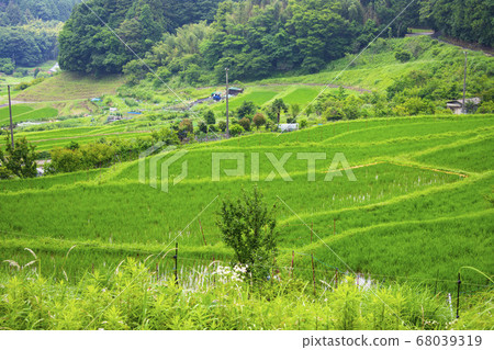 Rice terrace in Chihaya-okasaki village Rice terrace in Chihaya-okasaki village 68039319