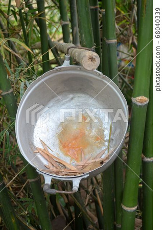 Zinc pot hung on bamboo plants. 68040339