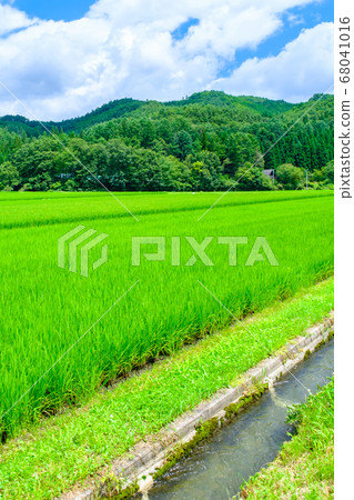 夏季農村風光 夏季農村風光 68041016
